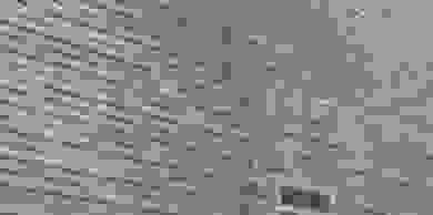 image226