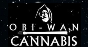 Obi Wan Cannabis