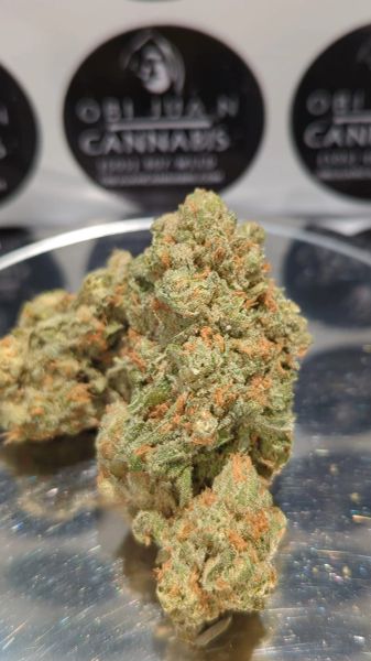 Mangoneada