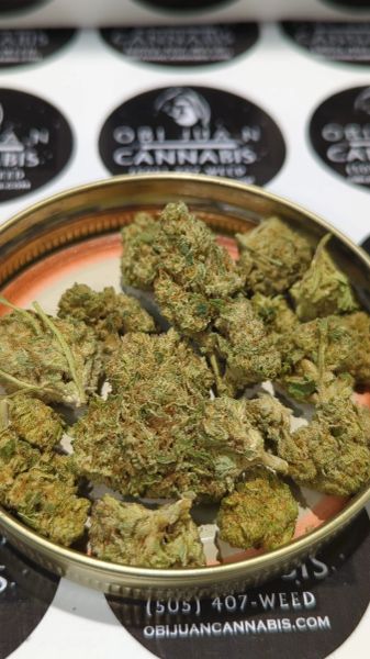 Kush Mints x Sherbhead