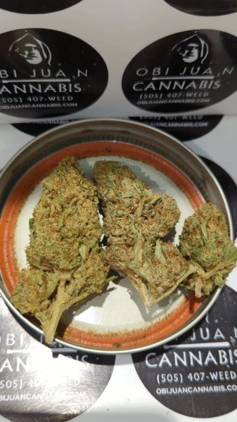 Platinum Bubba #34