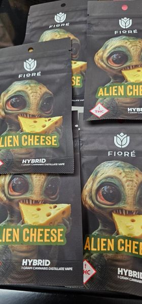 Alien Cheese