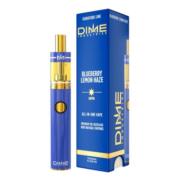 DIME Blueberry Lemon Haze 2G All in One Device