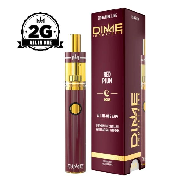 DIME Red Plum 2G All In One