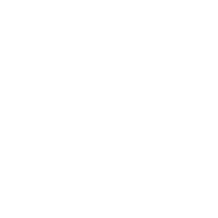 Root and Renew Therapy