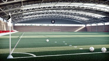 3d football pitch
