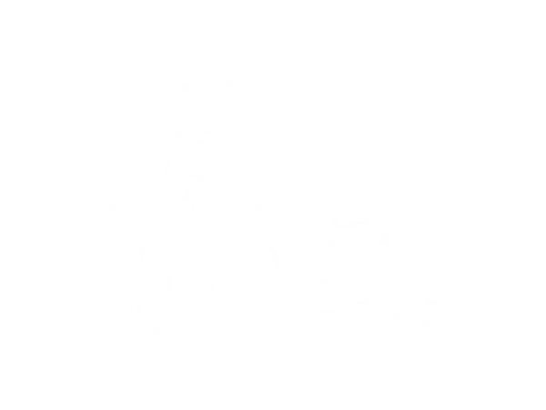 Manual handling risk control strategies for the reduction of musculoskeletal disorders and improved workplace safety
