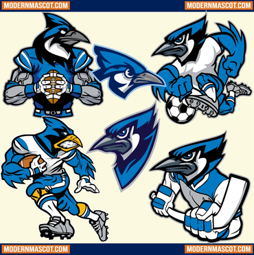 Four dynamic blue jay sports mascots representing football, soccer, baseball, and hockey.