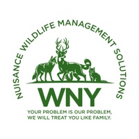 WNY Nuisance Wildlife Management Solutions