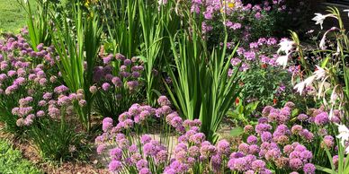 Annual & Perennial Gardens