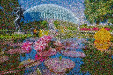 The Climatron greenhouse, a geodesic dome designed by St. Louis architects Murphy & Mackey. Won the 