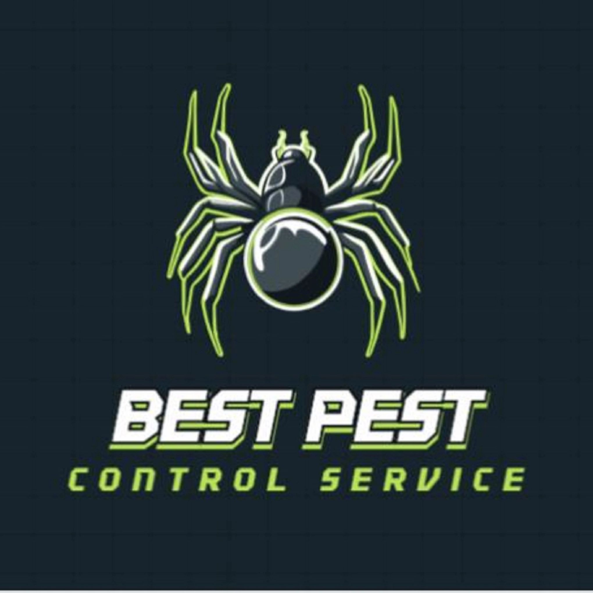 Dramatic spider logo for the #1 pest control in southern illinois