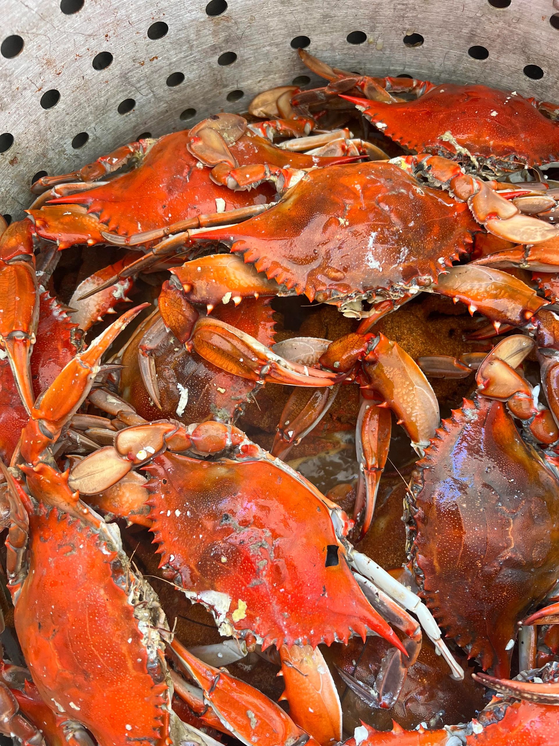 Captain Kyle's Seafood