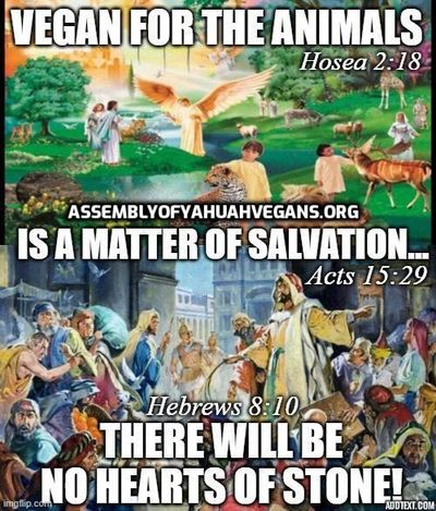 Go Vegan for the animals!