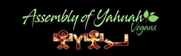 Our Creator's Name, Yahuah, spelled in pictographic OTIOT letters.