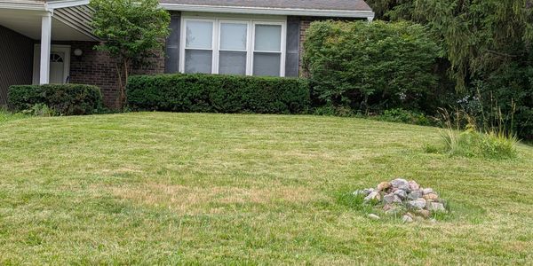 A house with a well-maintained front lawn and bushes.