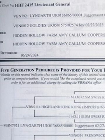 Document detailing five-generation pedigree for livestock identification and history.