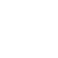 PT Consulting