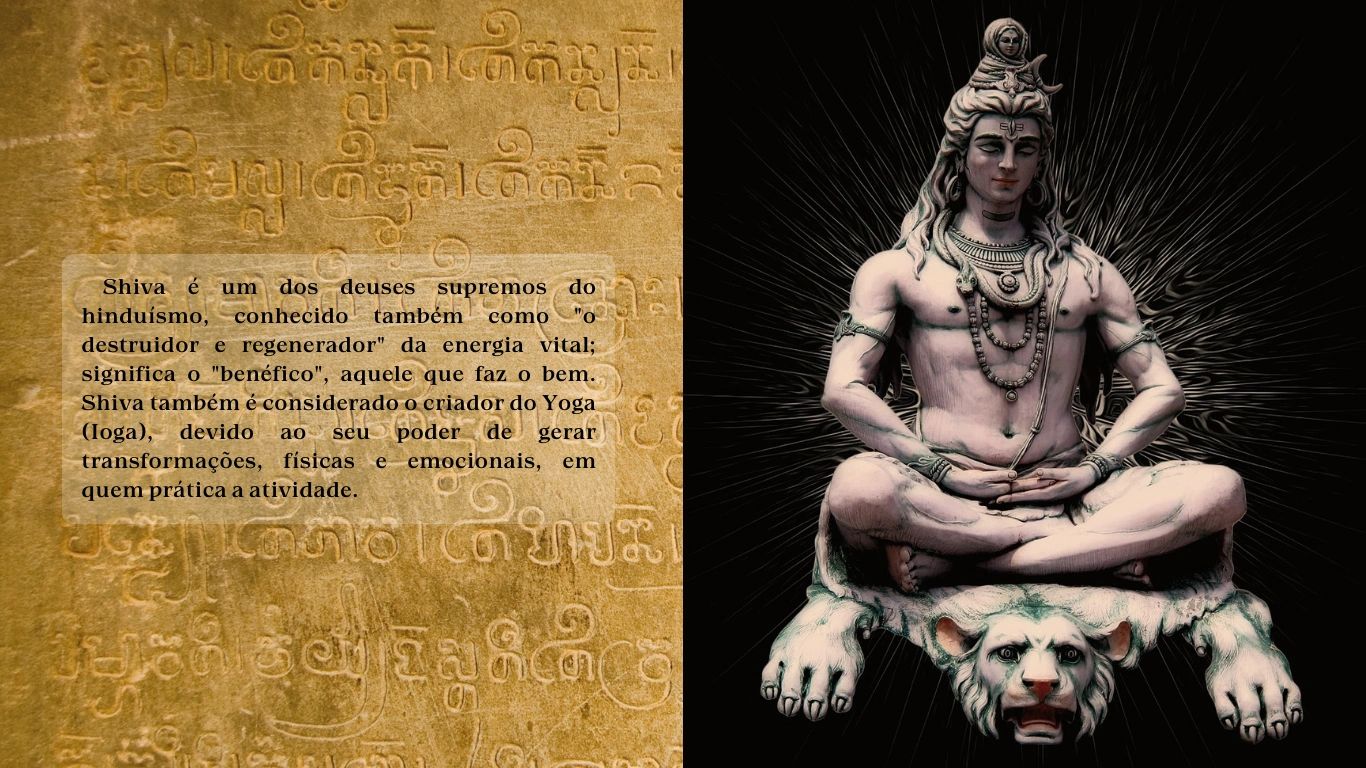 Deus Shiva Ltda