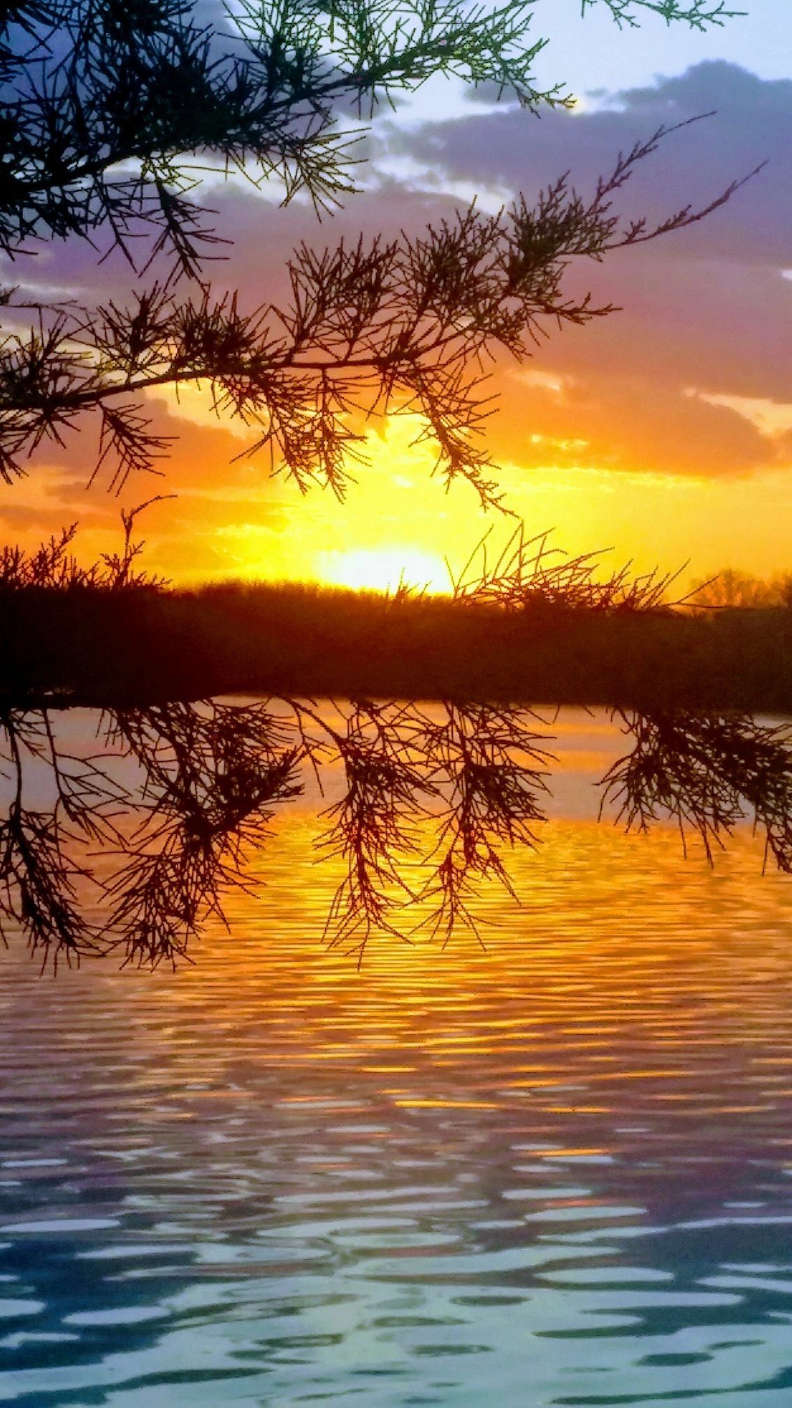 Briggs Lake Chain Association in Clear Lake, Minnesota