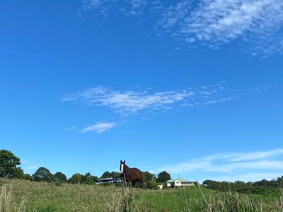 Maleny is gorgeous country
