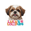 Lulu's Lollipups