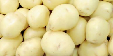 Blue Sky Farms of Florida
White Potatoes
