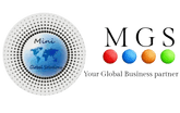 Mini Global Solutions