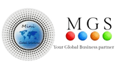 Mini Global Solutions