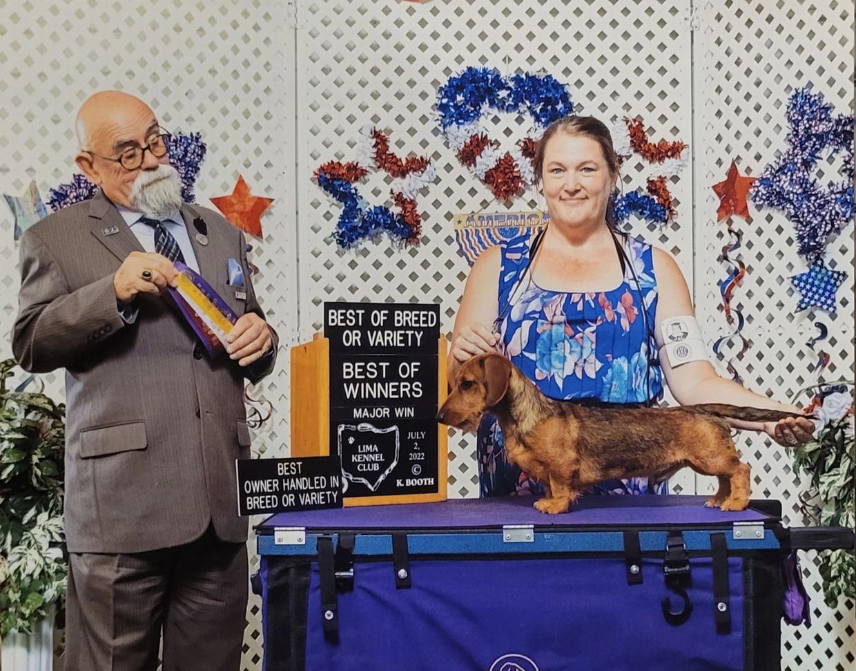 Woman with dachshund wins best of breed at dog show.