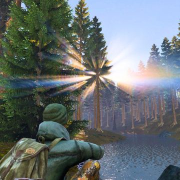 Sunlight beams through a dense forest in a scenic river setting from the game DayZ.