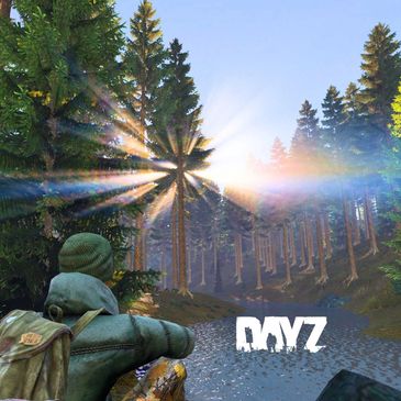 A player in camouflage crouches in a forest with sunlight piercing through trees in the game DayZ.