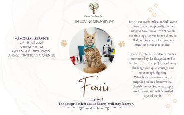Memorial tribute to Fenrir, a beloved cat from 2024-2026.
