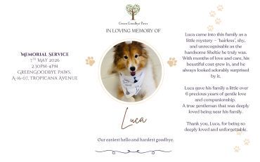 Memorial for a dog named Luca with a heartfelt message.