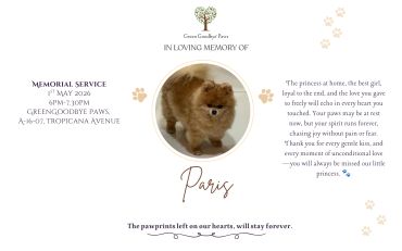 Memorial card for a dog named Paris with a touching tribute.