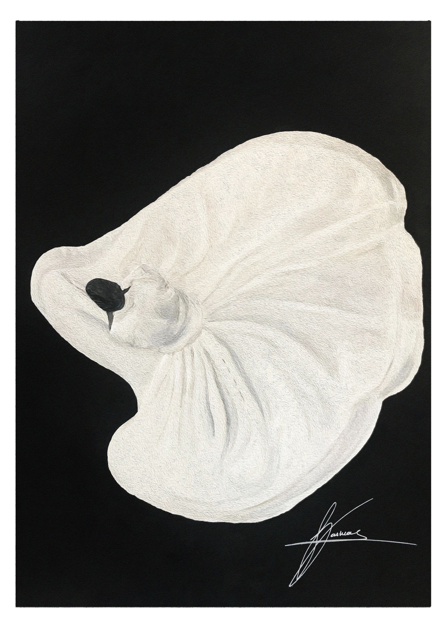 Swan in repose - oil painting by Saskia