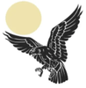 Nighthawke Computers