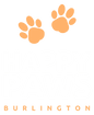 Happy Paws