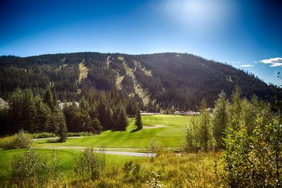 View from the 16th tee box.
