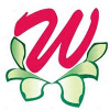 Women's Health First 
and WHF Medical Aesthetics