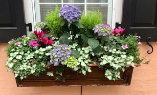image114