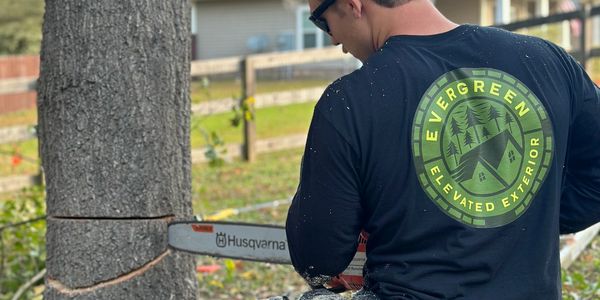 tree removal, tree trimming, tree climbing