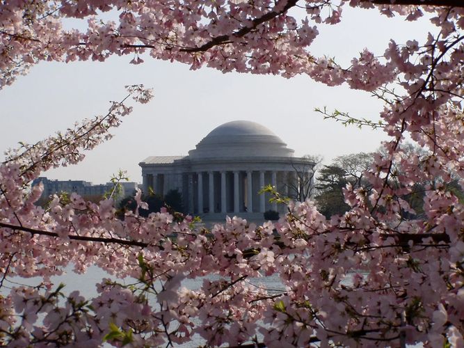 Jefferson Memorial in Washington DC