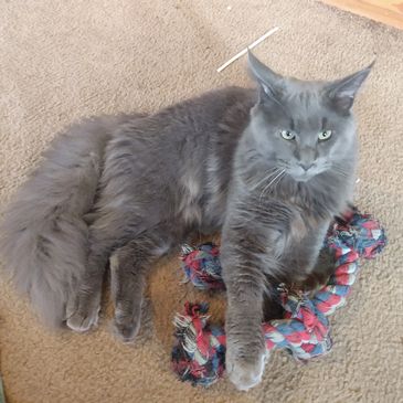 Please bear with us as we are building he site and it will change frequently 