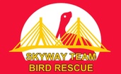 Skyway Team Bird Rescue