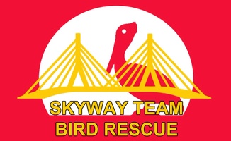 Skyway Team Bird Rescue