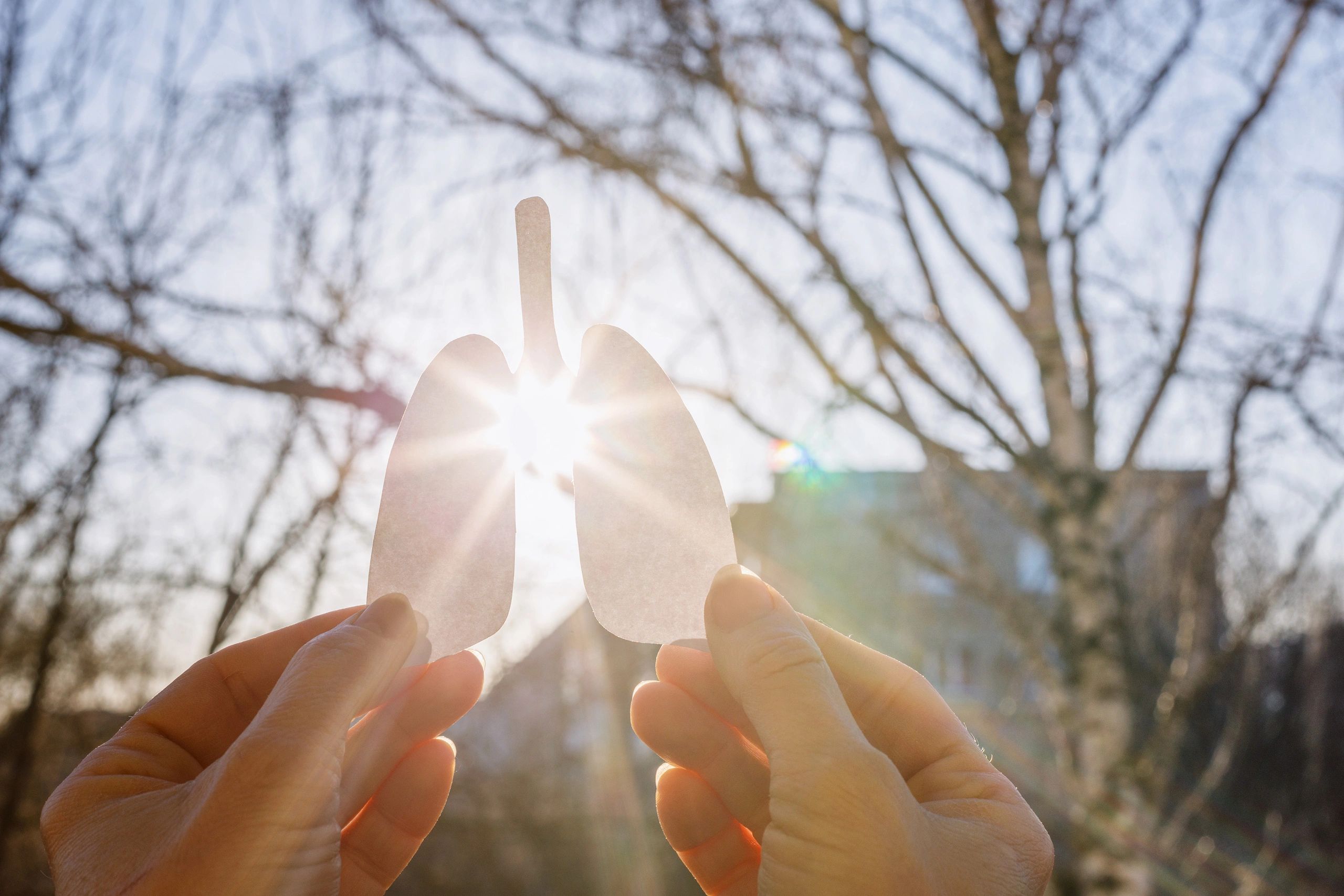 Sunlight shines behind hands holding a silhouette of lungs 