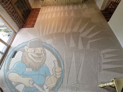 Professional carpet cleaning in Schaumburg, IL by Leo Carpet Car