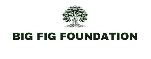 Big Fig Foundation