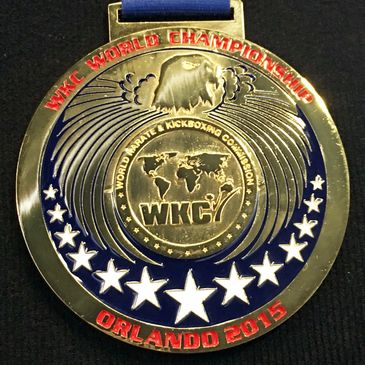 WKC World Kickboxing Karate Gold Medal Harrison Snider Championship Martial Arts School Denver 